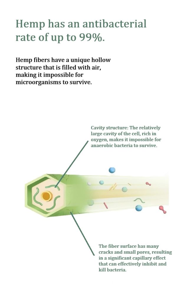 Hemp foot care casual socks structures